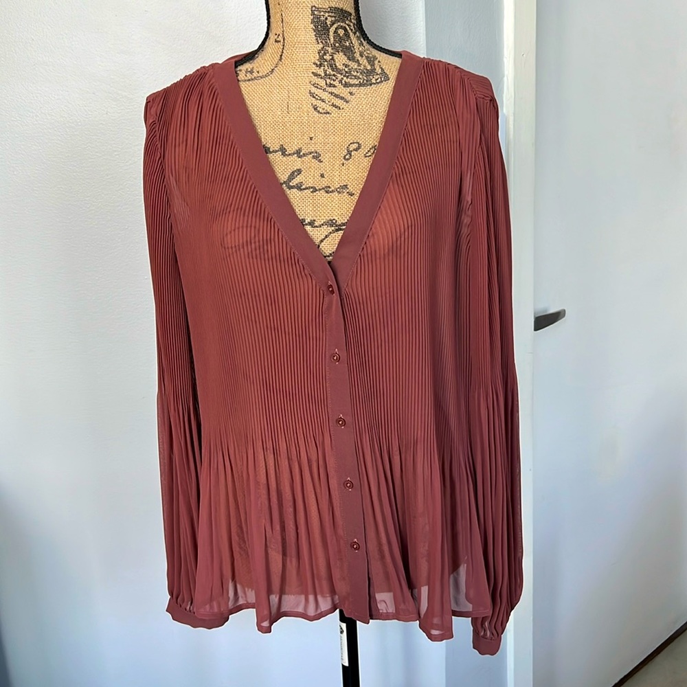 Express Sheer Blouse-Never Worn! Perfect Spring Top! 💐